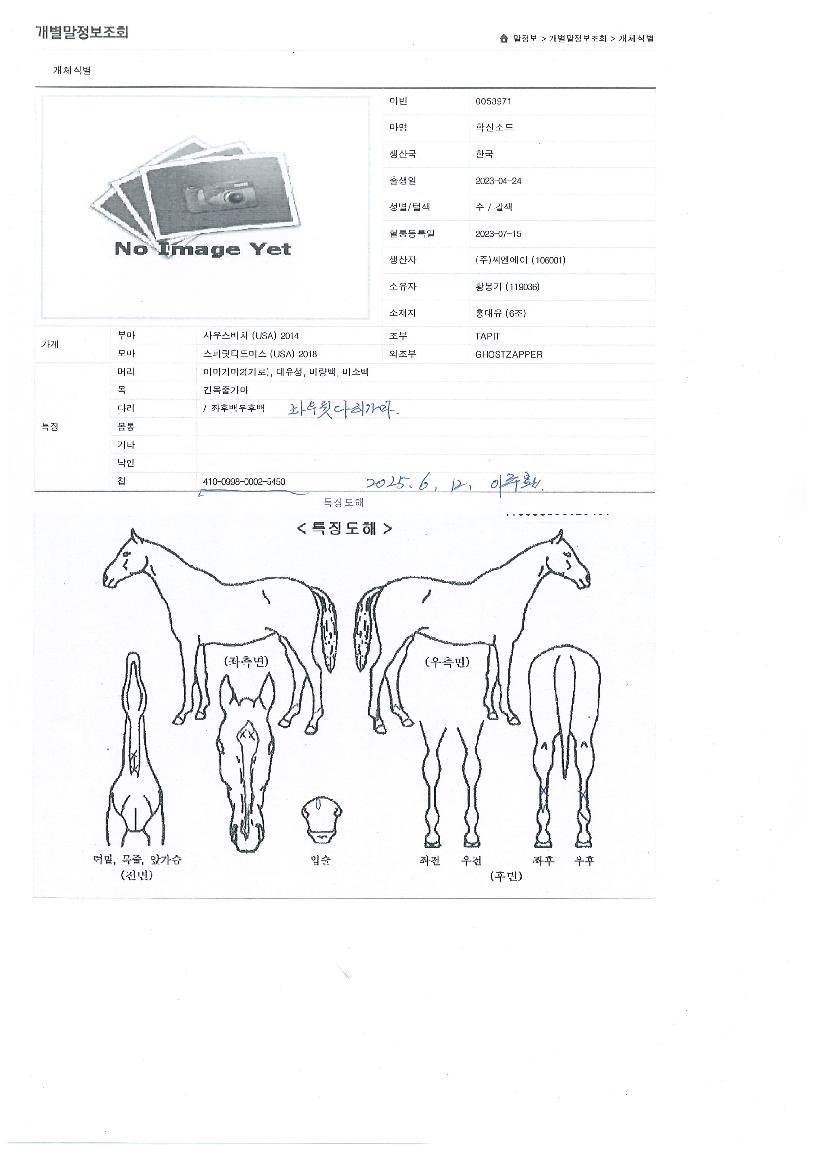 Çлê¼ÒµåÀÇ Ãø¸é,¿ì¸é,µÞ¸é,µÎ»ó,´Ù¸®ÀÇ Æ¯Â¡µµÇØ