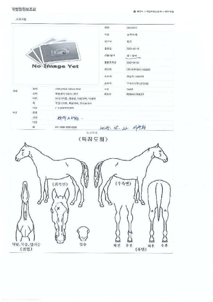 ���д뼼�� ����,���,�޸�,�λ�,�ٸ��� Ư¡����