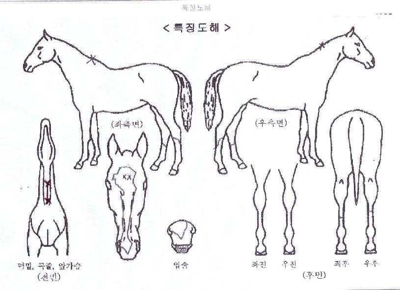 �����÷����� ����,���,�޸�,�λ�,�ٸ��� Ư¡����