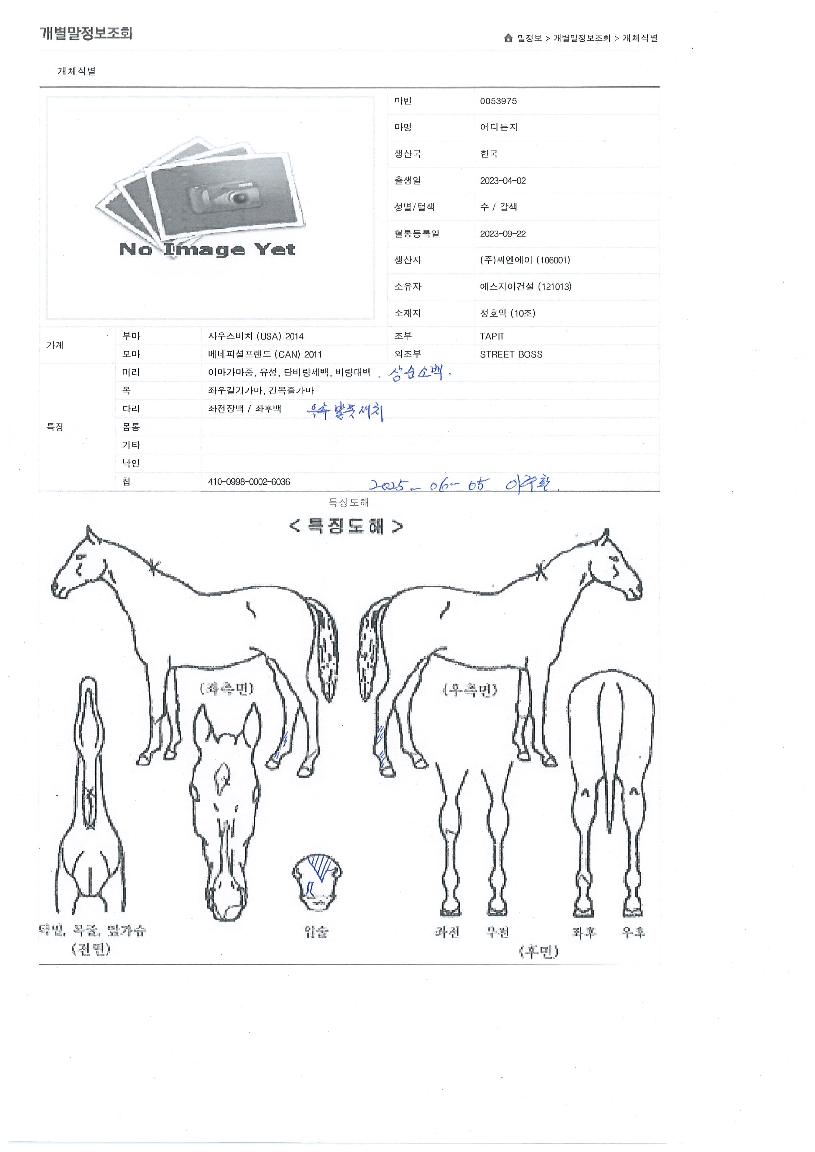 ¾îµðµçÁöÀÇ Ãø¸é,¿ì¸é,µÞ¸é,µÎ»ó,´Ù¸®ÀÇ Æ¯Â¡µµÇØ