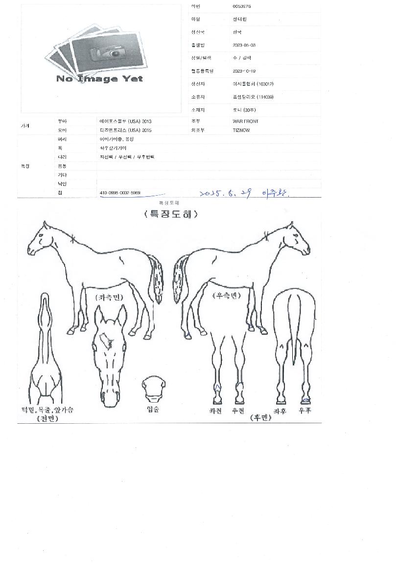 ¼±´õ·±ÀÇ Ãø¸é,¿ì¸é,µÞ¸é,µÎ»ó,´Ù¸®ÀÇ Æ¯Â¡µµÇØ