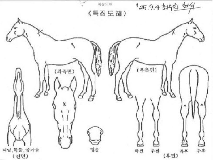 ¶óºñŸÀÇ Ãø¸é,¿ì¸é,µÞ¸é,µÎ»ó,´Ù¸®ÀÇ Æ¯Â¡µµÇØ