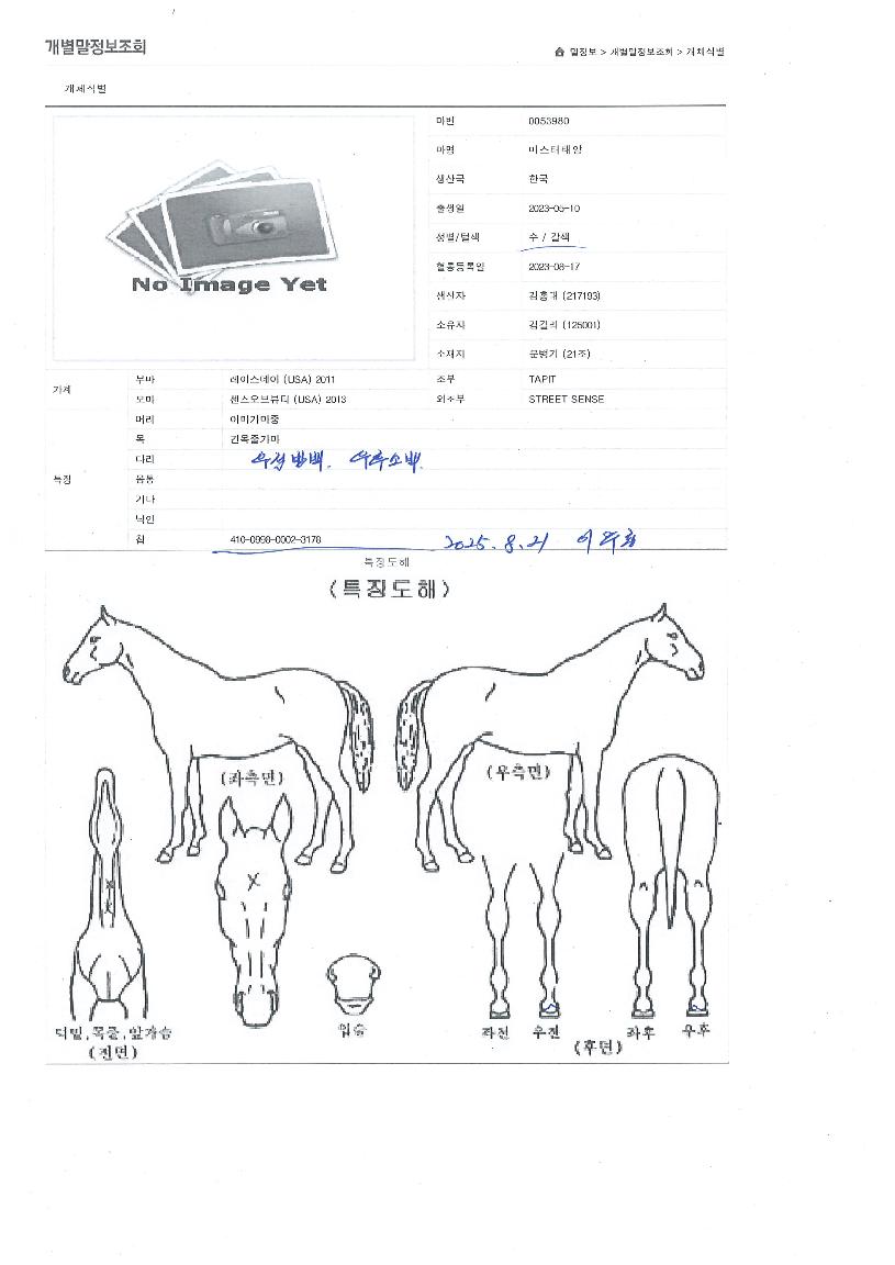 �̽����¾��� ����,���,�޸�,�λ�,�ٸ��� Ư¡����