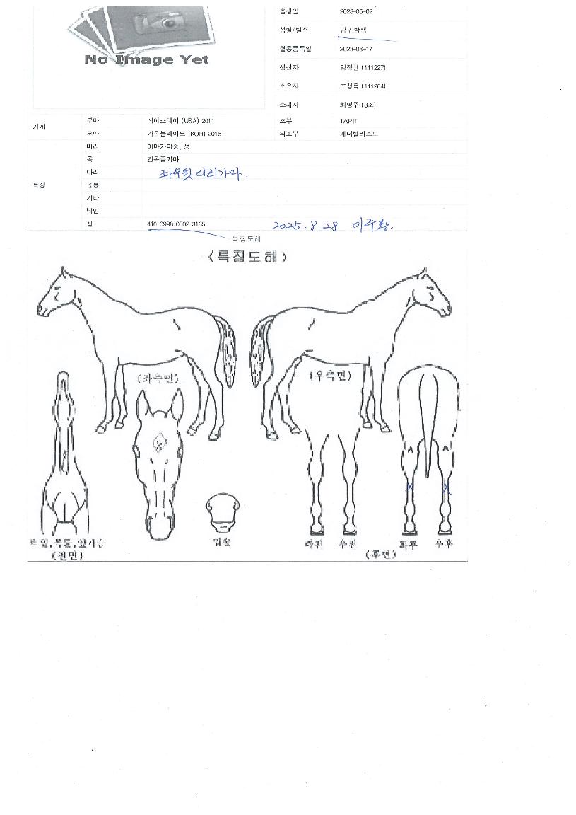 ī�п����� ����,���,�޸�,�λ�,�ٸ��� Ư¡����