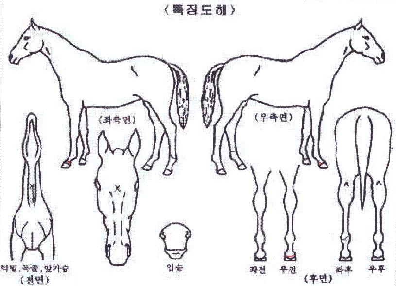 Ÿ�̰Ÿ����� ����,���,�޸�,�λ�,�ٸ��� Ư¡����