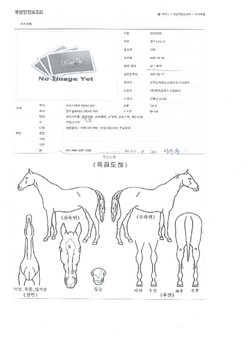 ����Ÿ�̰��� ����,���,�޸�,�λ�,�ٸ��� Ư¡����