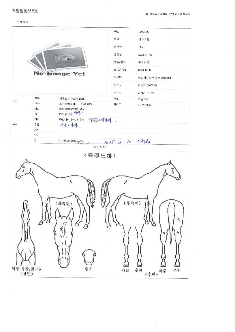 ¸¶½ºÅ©¸ÇÀÇ Ãø¸é,¿ì¸é,µÞ¸é,µÎ»ó,´Ù¸®ÀÇ Æ¯Â¡µµÇØ