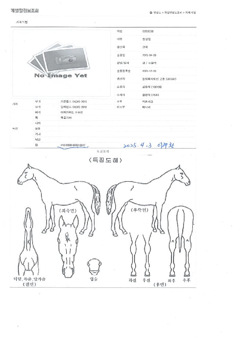 ¿øÆòµöÀÇ Ãø¸é,¿ì¸é,µÞ¸é,µÎ»ó,´Ù¸®ÀÇ Æ¯Â¡µµÇØ