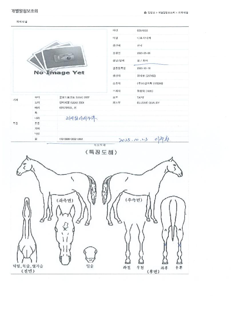 ³ª¸£»þ´ÏÄÉÀÇ Ãø¸é,¿ì¸é,µÞ¸é,µÎ»ó,´Ù¸®ÀÇ Æ¯Â¡µµÇØ