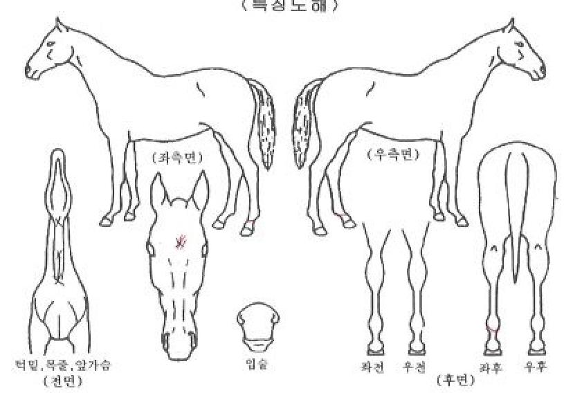 ȭ�������� ����,���,�޸�,�λ�,�ٸ��� Ư¡����