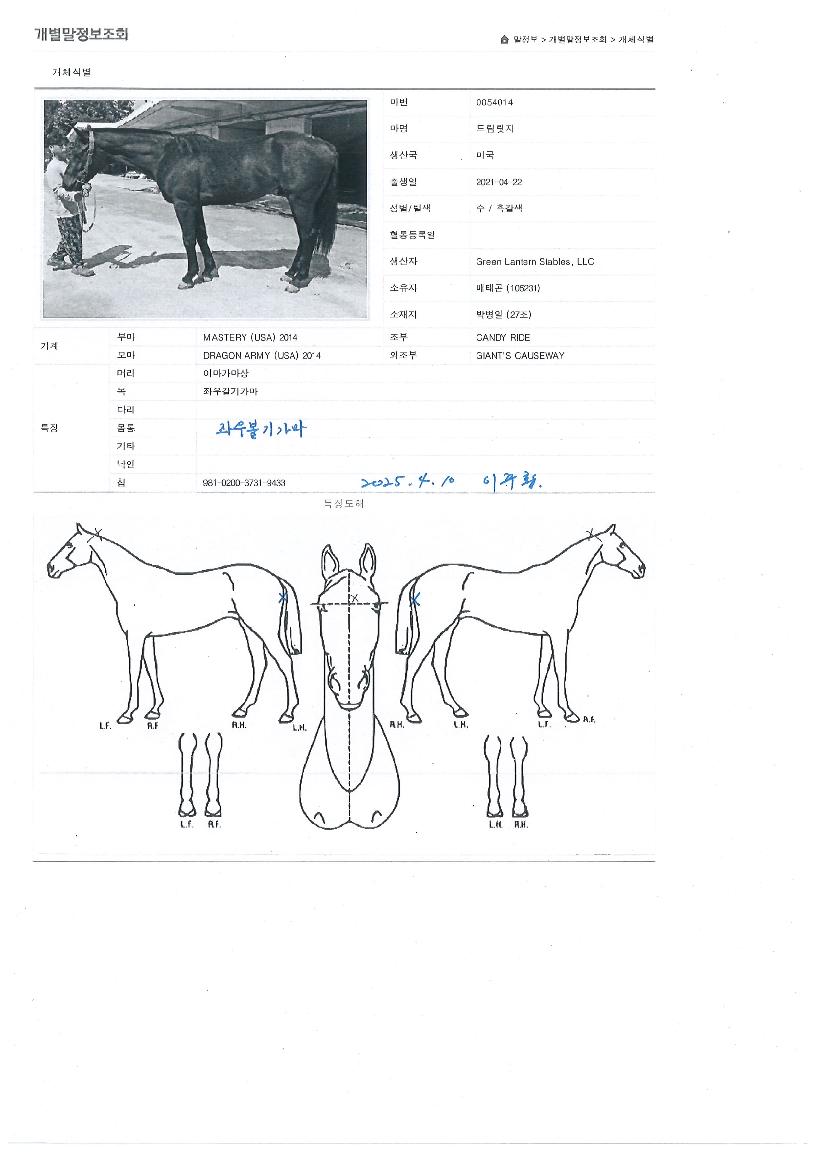 µå¸²¸´ÁöÀÇ Ãø¸é,¿ì¸é,µÞ¸é,µÎ»ó,´Ù¸®ÀÇ Æ¯Â¡µµÇØ