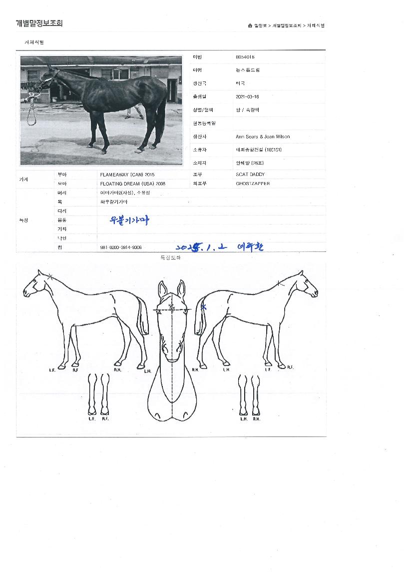 ³í½ºÅéµå¸²ÀÇ Ãø¸é,¿ì¸é,µÞ¸é,µÎ»ó,´Ù¸®ÀÇ Æ¯Â¡µµÇØ