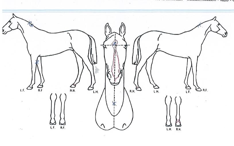 �������� ����,���,�޸�,�λ�,�ٸ��� Ư¡����