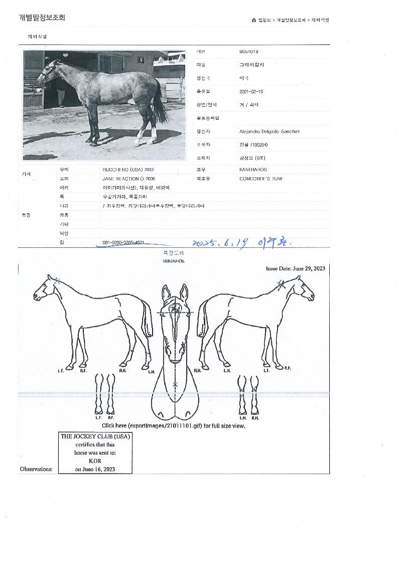 �׷��������� ����,���,�޸�,�λ�,�ٸ��� Ư¡����