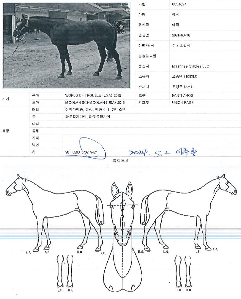 ¶ô½ÃÀÇ Ãø¸é,¿ì¸é,µÞ¸é,µÎ»ó,´Ù¸®ÀÇ Æ¯Â¡µµÇØ