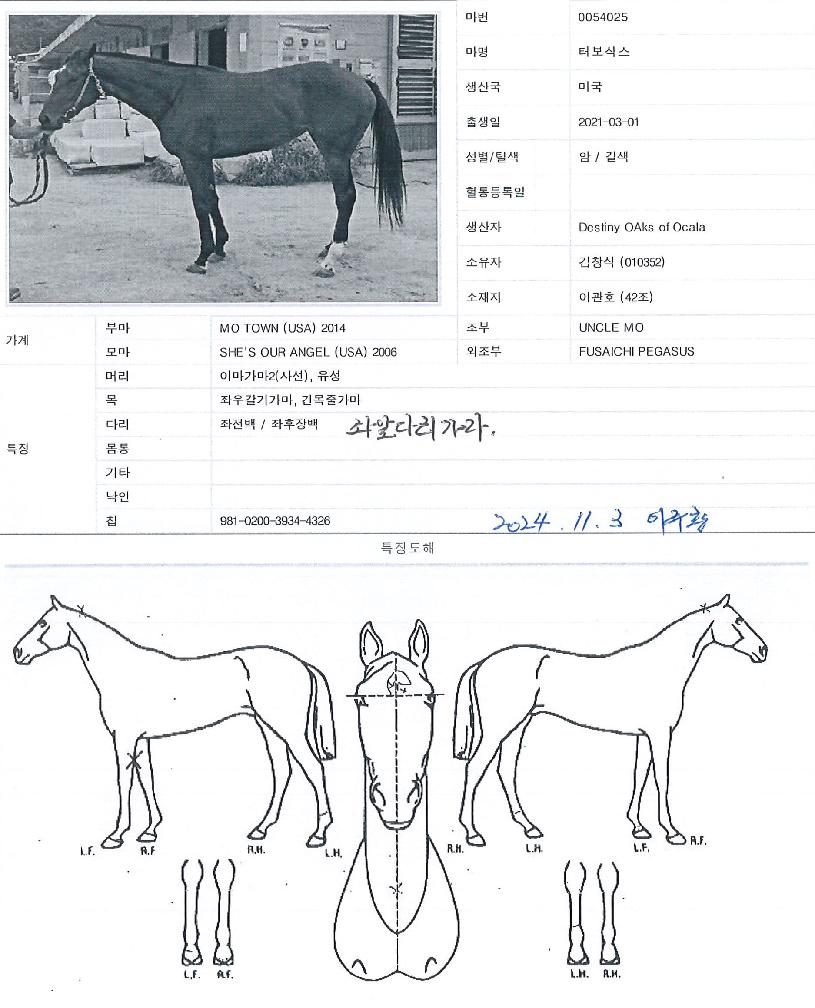 Åͺ¸»è½ºÀÇ Ãø¸é,¿ì¸é,µÞ¸é,µÎ»ó,´Ù¸®ÀÇ Æ¯Â¡µµÇØ