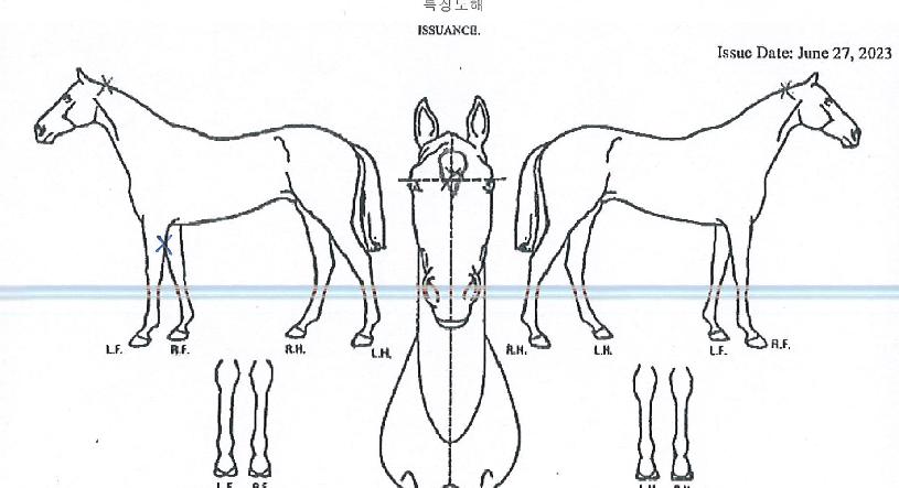À̽ºÆ®Á¡ÇÁÀÇ Ãø¸é,¿ì¸é,µÞ¸é,µÎ»ó,´Ù¸®ÀÇ Æ¯Â¡µµÇØ