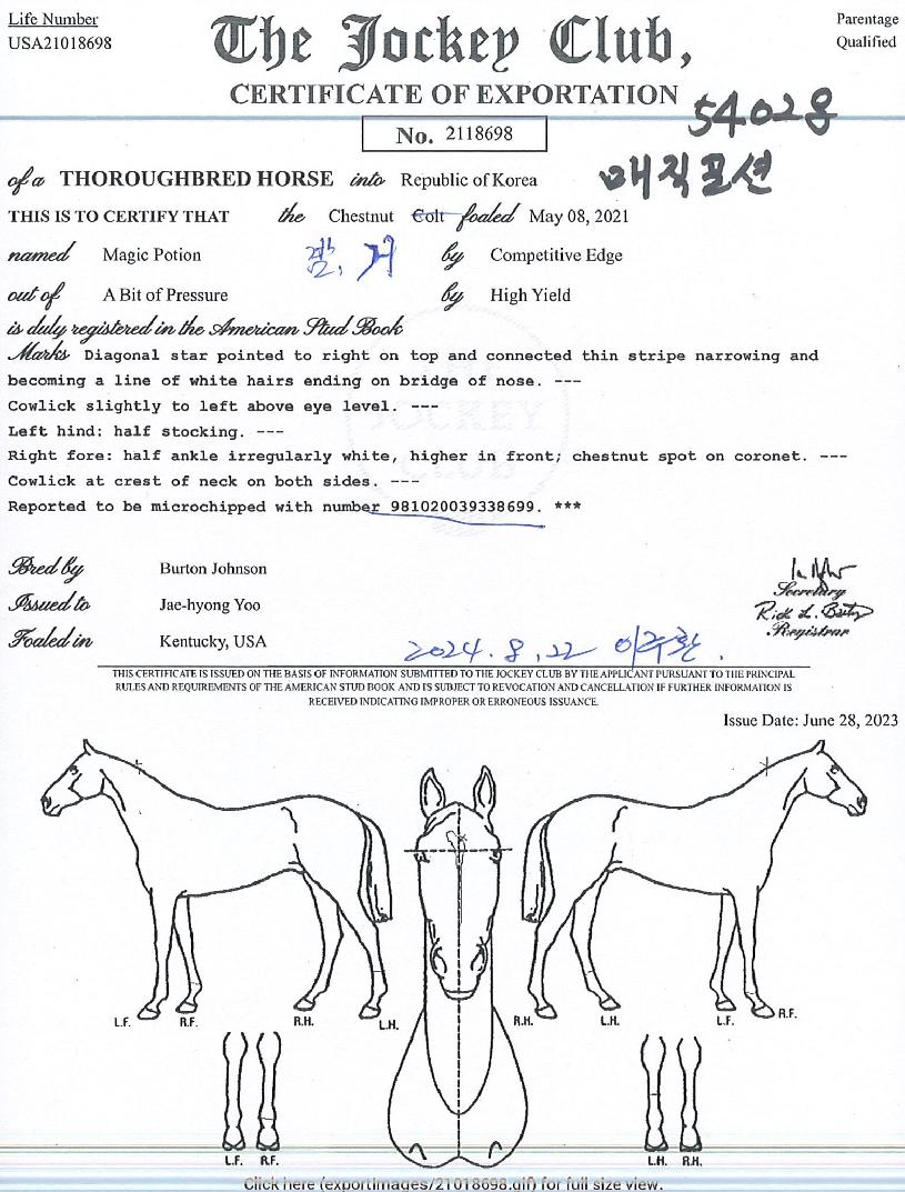 ¸ÅÁ÷Æ÷¼ÇÀÇ Ãø¸é,¿ì¸é,µÞ¸é,µÎ»ó,´Ù¸®ÀÇ Æ¯Â¡µµÇØ