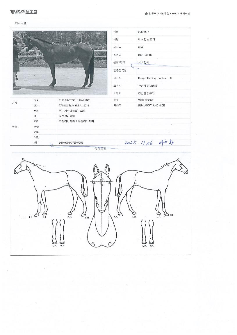 ¸ÞÀÌÅ·½ºÅ丮ÀÇ Ãø¸é,¿ì¸é,µÞ¸é,µÎ»ó,´Ù¸®ÀÇ Æ¯Â¡µµÇØ