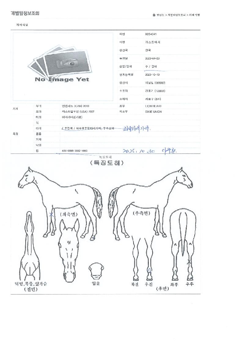 ��Ʈ��ġ�� ����,���,�޸�,�λ�,�ٸ��� Ư¡����