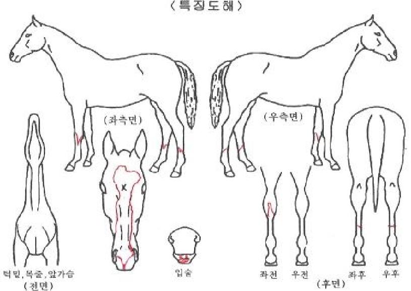 ���ƽý����� ����,���,�޸�,�λ�,�ٸ��� Ư¡����