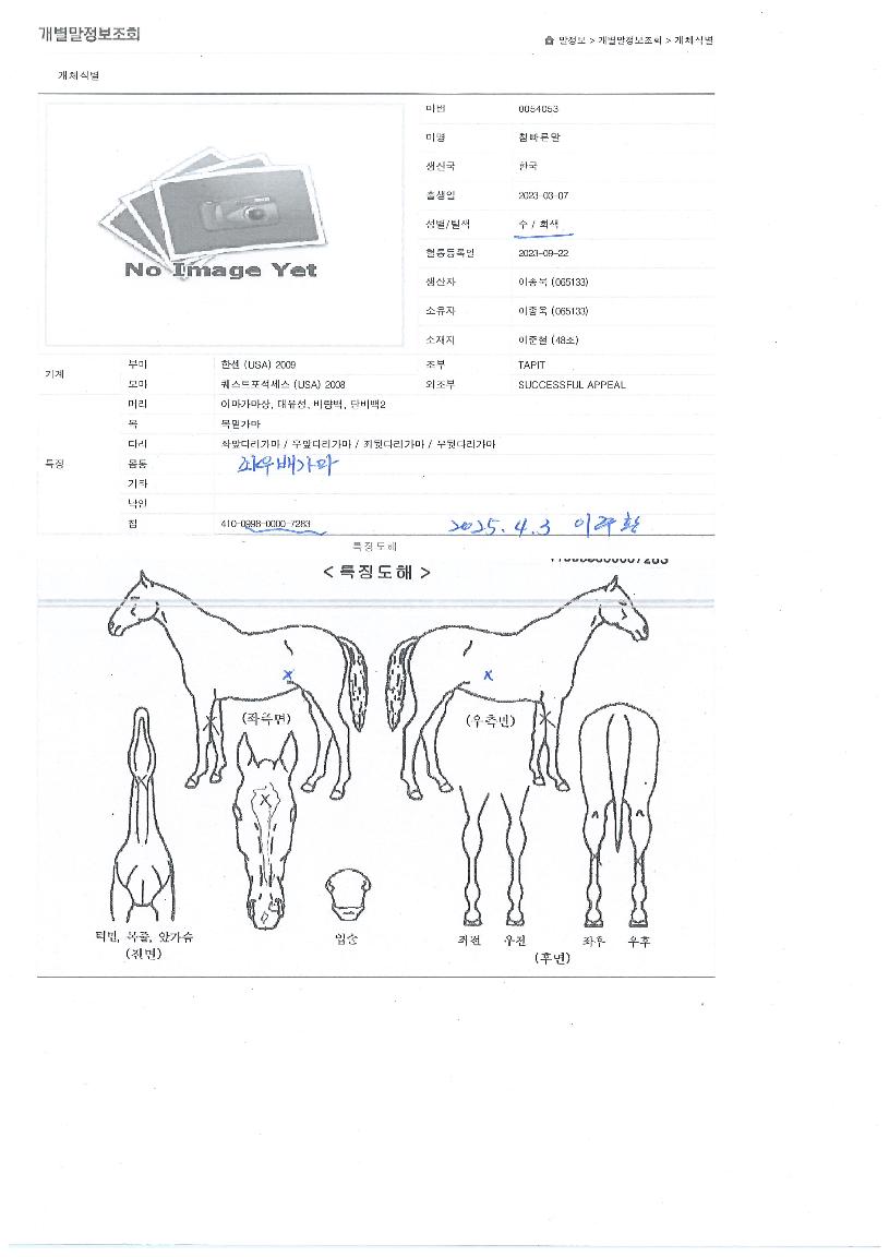 ���������� ����,���,�޸�,�λ�,�ٸ��� Ư¡����