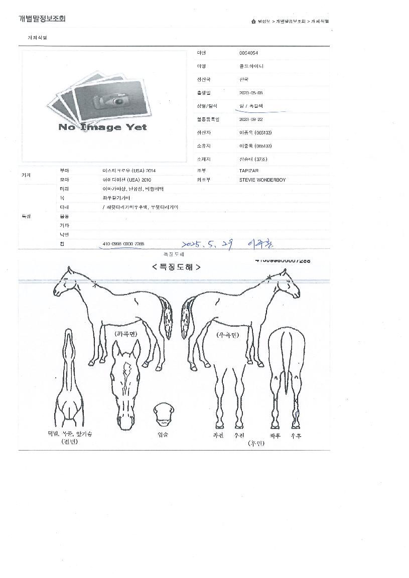 °ñµå¾ÆÀ̵ðÀÇ Ãø¸é,¿ì¸é,µÞ¸é,µÎ»ó,´Ù¸®ÀÇ Æ¯Â¡µµÇØ