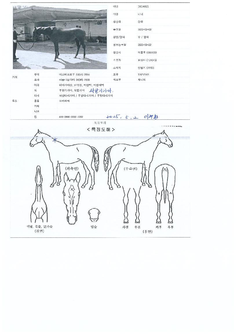 ����� ����,���,�޸�,�λ�,�ٸ��� Ư¡����