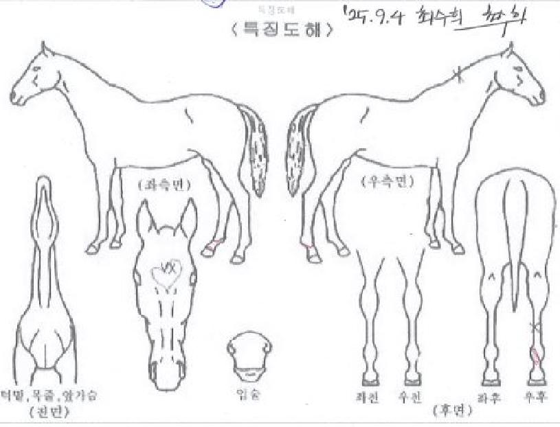 �ݼ����� ����,���,�޸�,�λ�,�ٸ��� Ư¡����