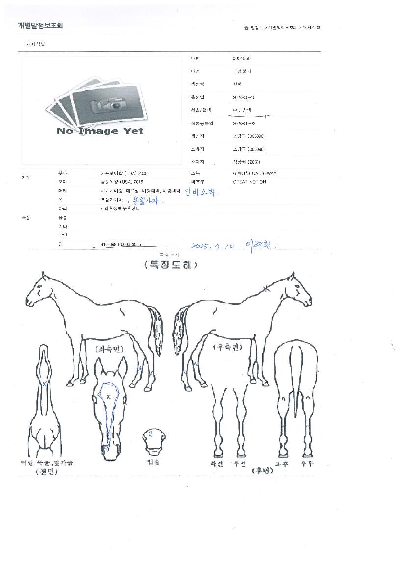 �ݼ������� ����,���,�޸�,�λ�,�ٸ��� Ư¡����