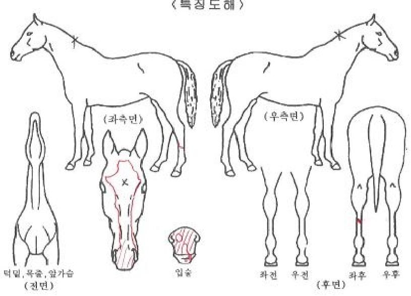 ���θ޴��� ����,���,�޸�,�λ�,�ٸ��� Ư¡����