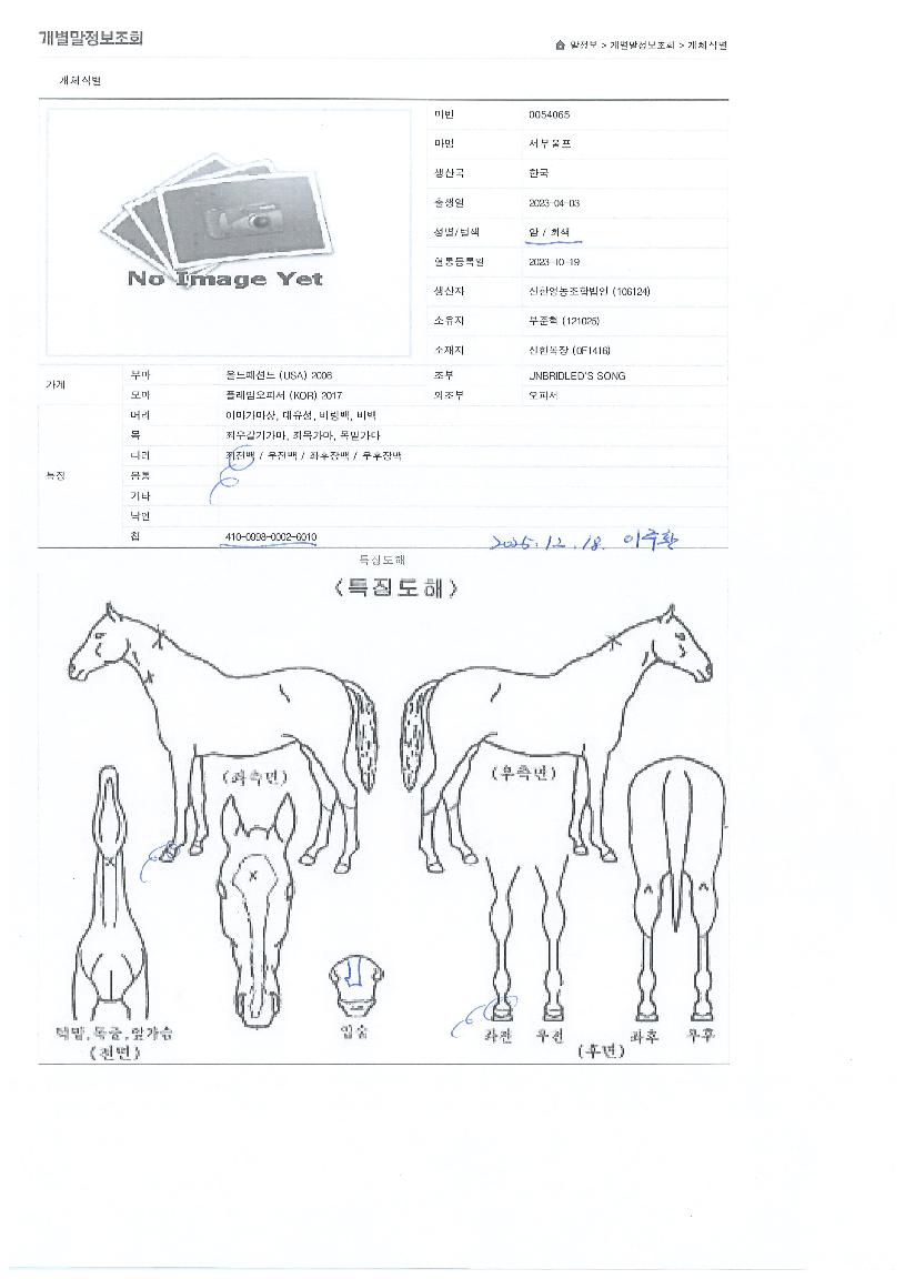 ¼ºÎ¿ïÇÁÀÇ Ãø¸é,¿ì¸é,µÞ¸é,µÎ»ó,´Ù¸®ÀÇ Æ¯Â¡µµÇØ