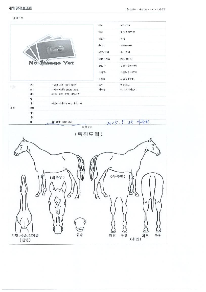 ºí·¹ÀÌ¡¿£ÁøÀÇ Ãø¸é,¿ì¸é,µÞ¸é,µÎ»ó,´Ù¸®ÀÇ Æ¯Â¡µµÇØ