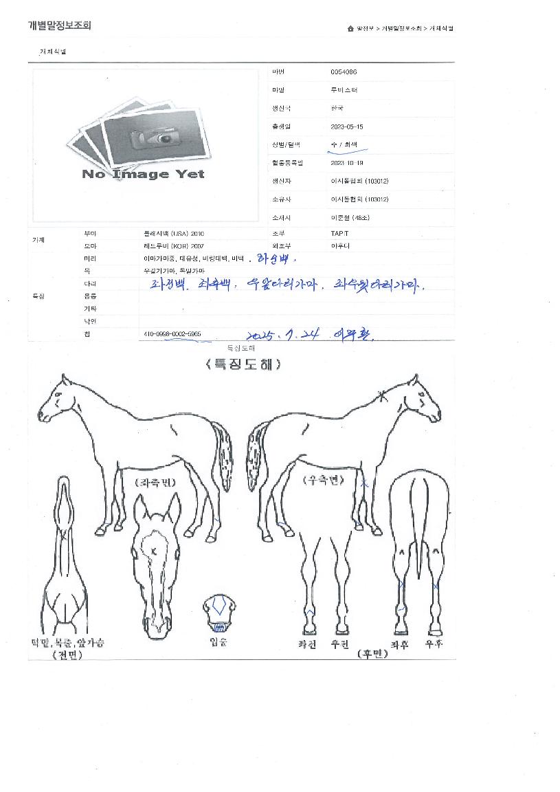 ������� ����,���,�޸�,�λ�,�ٸ��� Ư¡����