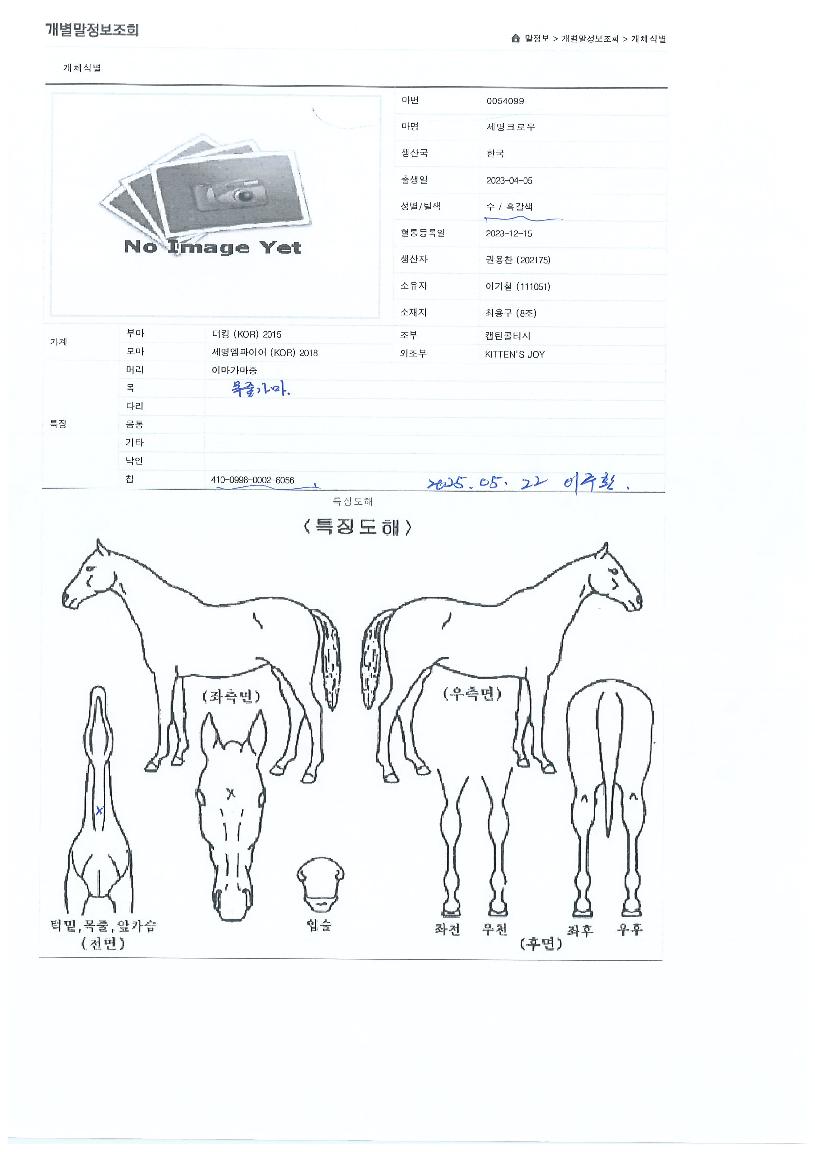 ¼¼¸íÅ©·Î¿ìÀÇ Ãø¸é,¿ì¸é,µÞ¸é,µÎ»ó,´Ù¸®ÀÇ Æ¯Â¡µµÇØ