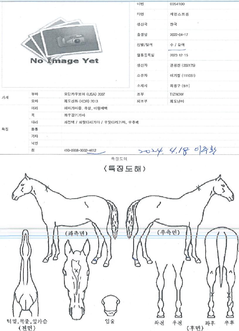 ¼¼¸í½ºÆ®·ÕÀÇ Ãø¸é,¿ì¸é,µÞ¸é,µÎ»ó,´Ù¸®ÀÇ Æ¯Â¡µµÇØ