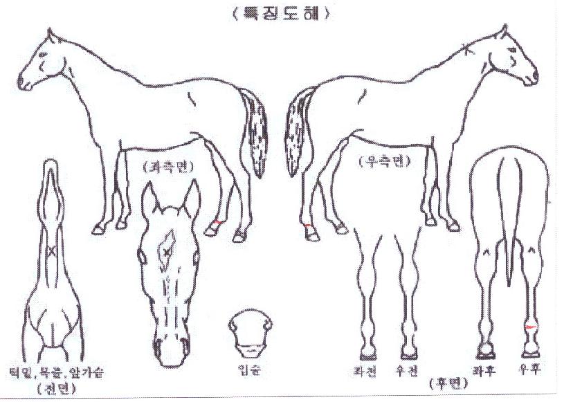 ���ƽý�ȯ���� ����,���,�޸�,�λ�,�ٸ��� Ư¡����