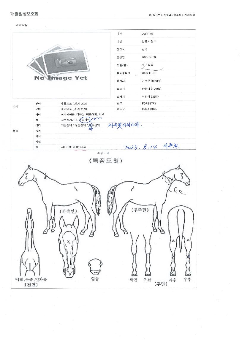 õ���������� ����,���,�޸�,�λ�,�ٸ��� Ư¡����