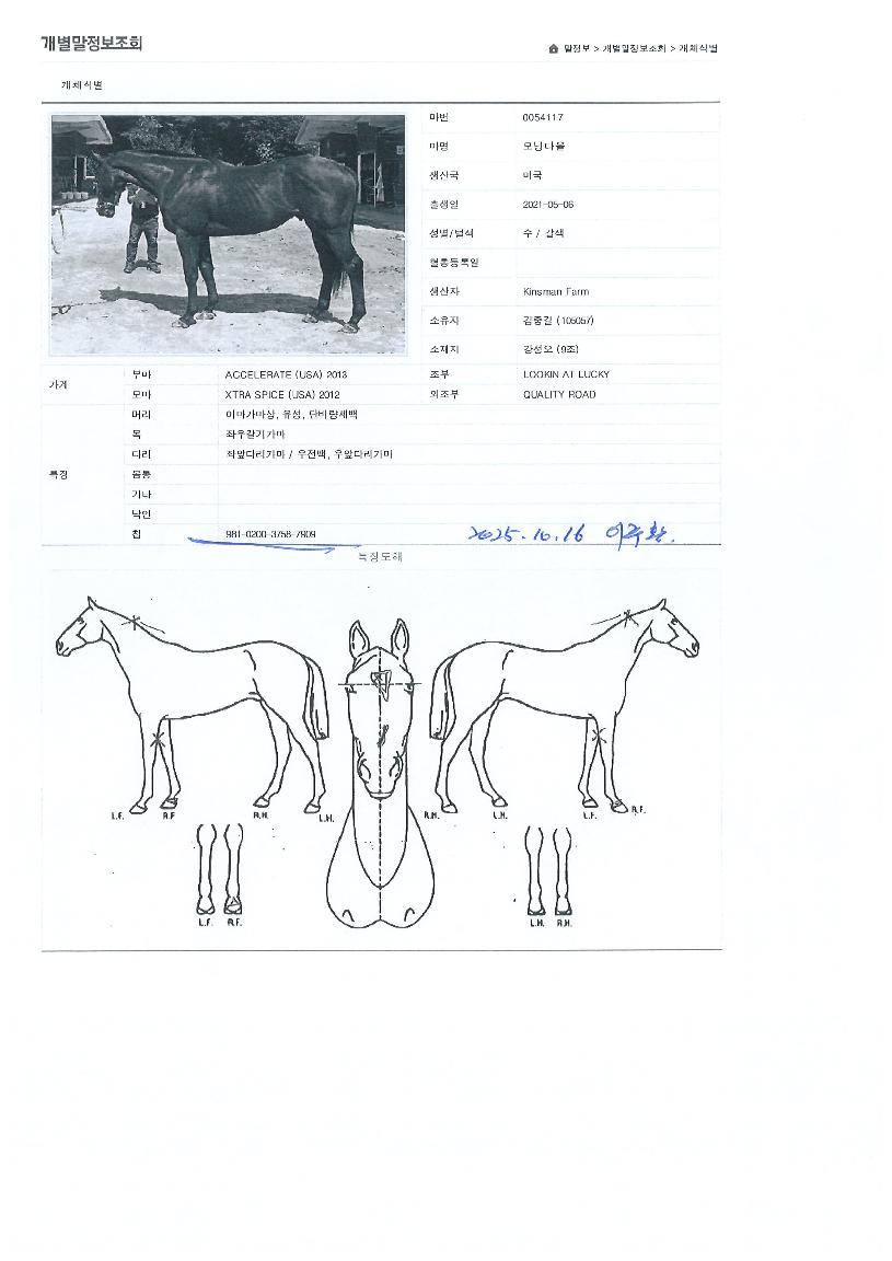 ¸ð´×´Ù¿ÃÀÇ Ãø¸é,¿ì¸é,µÞ¸é,µÎ»ó,´Ù¸®ÀÇ Æ¯Â¡µµÇØ