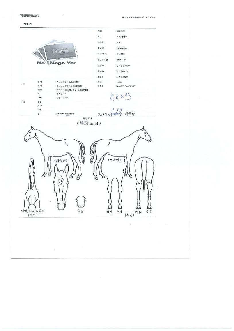 ÆÄ»ç¿¡À̽ºÀÇ Ãø¸é,¿ì¸é,µÞ¸é,µÎ»ó,´Ù¸®ÀÇ Æ¯Â¡µµÇØ