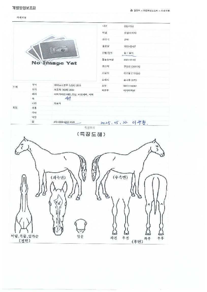 �������̵��� ����,���,�޸�,�λ�,�ٸ��� Ư¡����