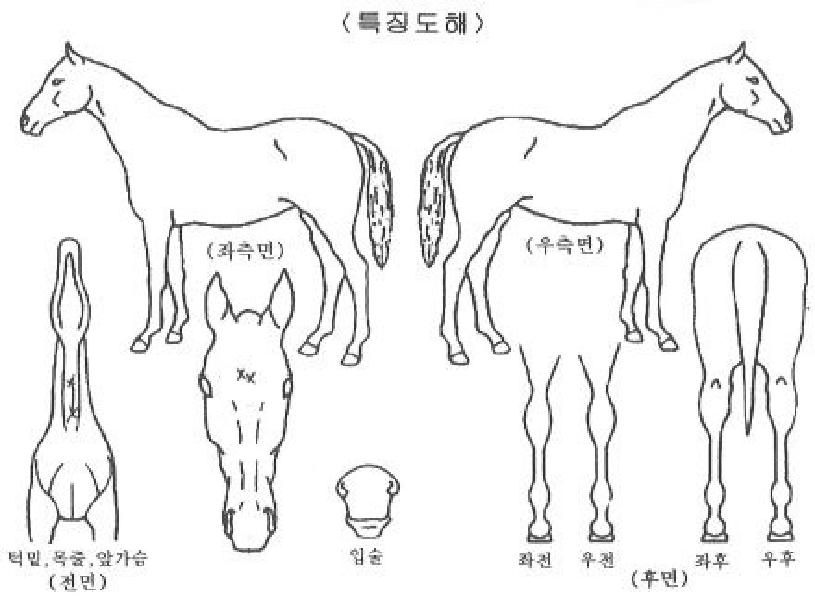 ���÷ο����ڸ��� ����,���,�޸�,�λ�,�ٸ��� Ư¡����