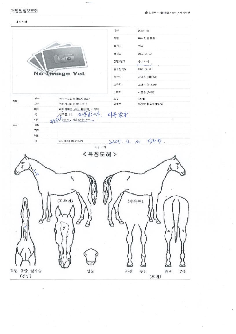 ¸¶ÀÌÆ¼Æ÷ÀÎÆ®ÀÇ Ãø¸é,¿ì¸é,µÞ¸é,µÎ»ó,´Ù¸®ÀÇ Æ¯Â¡µµÇØ