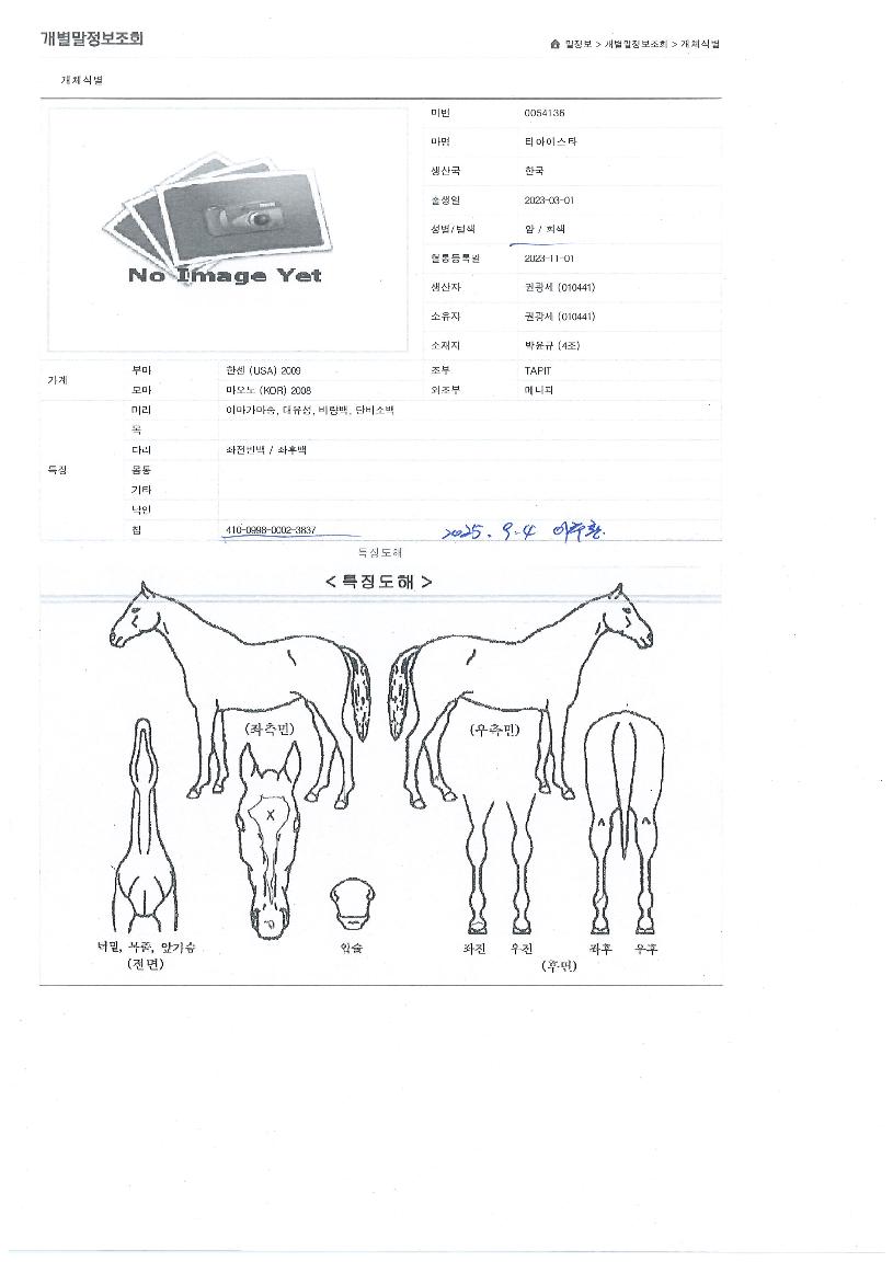 Ƽ���̽�Ÿ�� ����,���,�޸�,�λ�,�ٸ��� Ư¡����