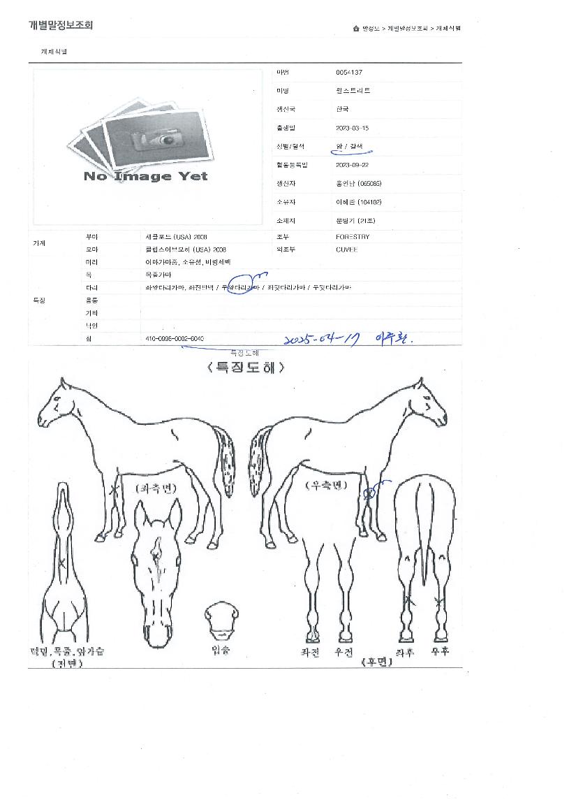 ����Ʈ��Ʈ�� ����,���,�޸�,�λ�,�ٸ��� Ư¡����