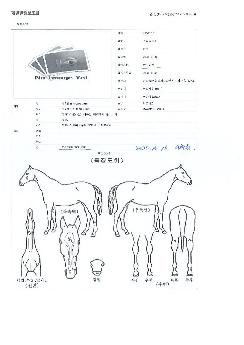 ½ºÅÍ´×µ¹ÇÉÀÇ Ãø¸é,¿ì¸é,µÞ¸é,µÎ»ó,´Ù¸®ÀÇ Æ¯Â¡µµÇØ