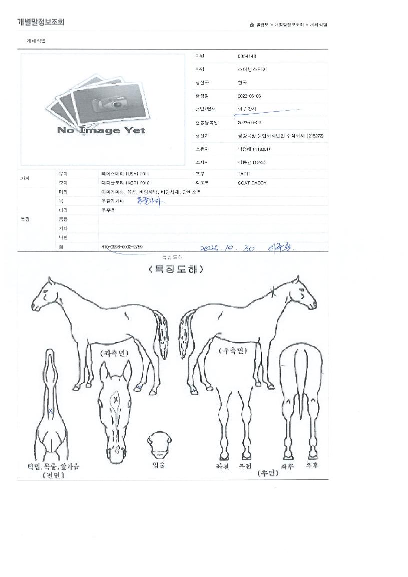 ½ºÅÍ´×½ºÇǾîÀÇ Ãø¸é,¿ì¸é,µÞ¸é,µÎ»ó,´Ù¸®ÀÇ Æ¯Â¡µµÇØ
