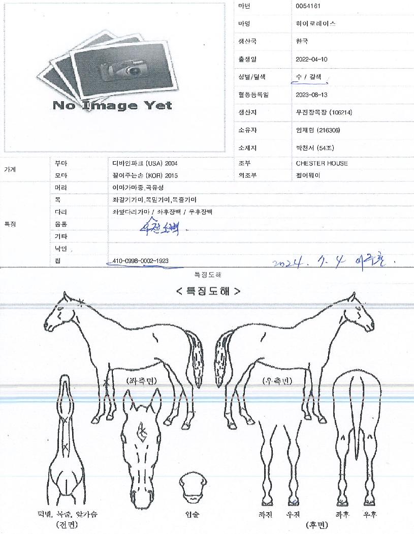 ����η��̽��� ����,���,�޸�,�λ�,�ٸ��� Ư¡����