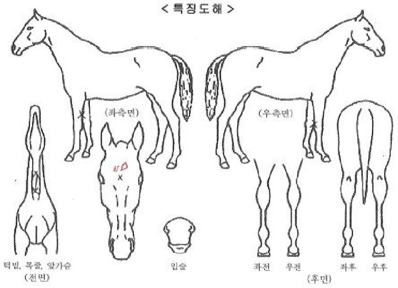 ��Ű������ ����,���,�޸�,�λ�,�ٸ��� Ư¡����