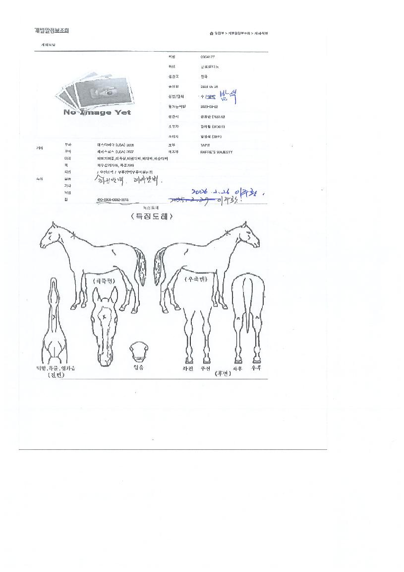 ±Û·Î¹úµð³ëÀÇ Ãø¸é,¿ì¸é,µÞ¸é,µÎ»ó,´Ù¸®ÀÇ Æ¯Â¡µµÇØ